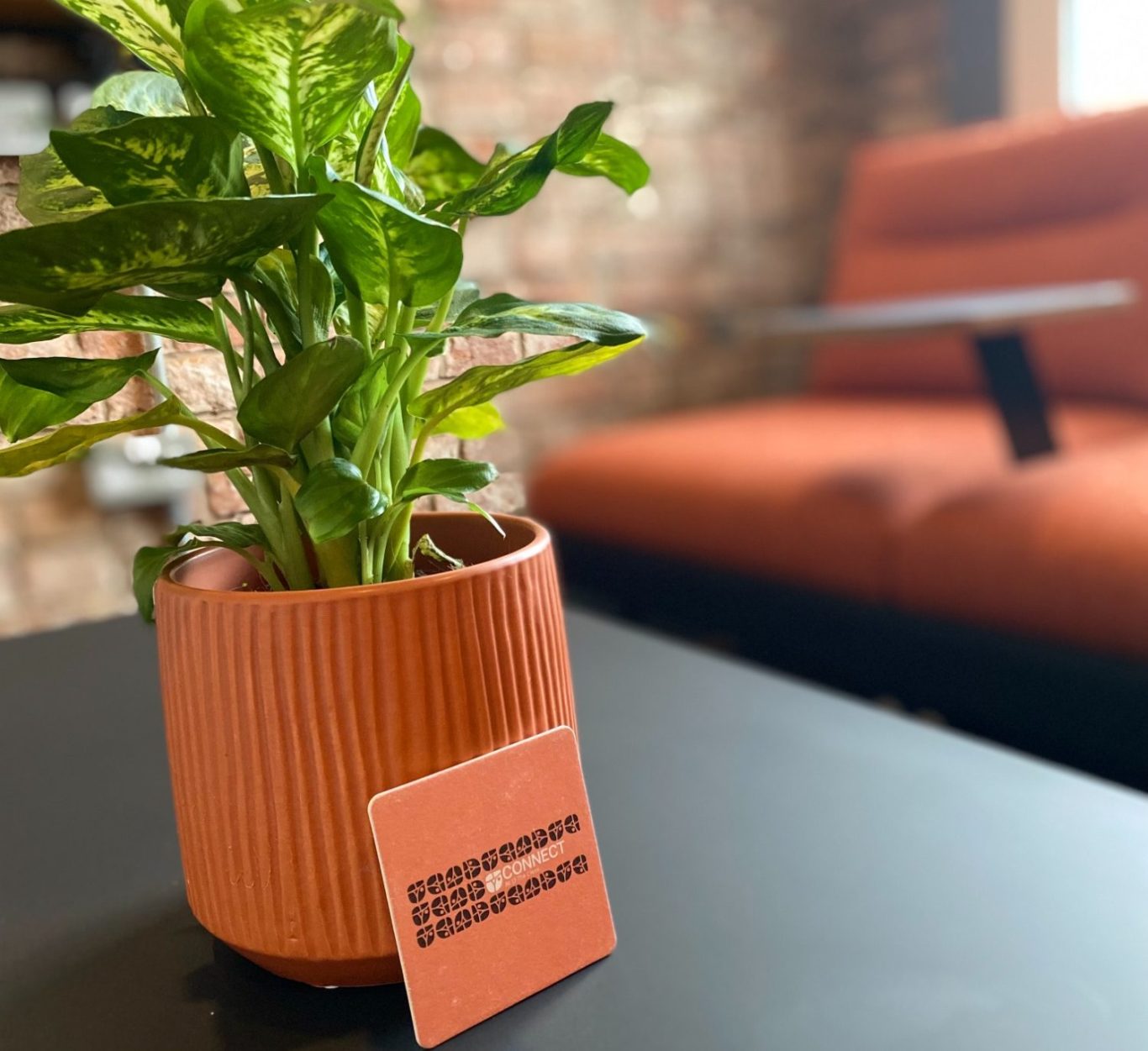 Indoor plant in an orange pot on a table in a modern meeting room